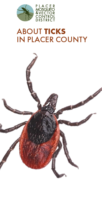 About Ticks in Placer County